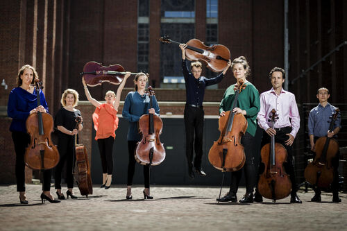 Cello Octet Amsterdam