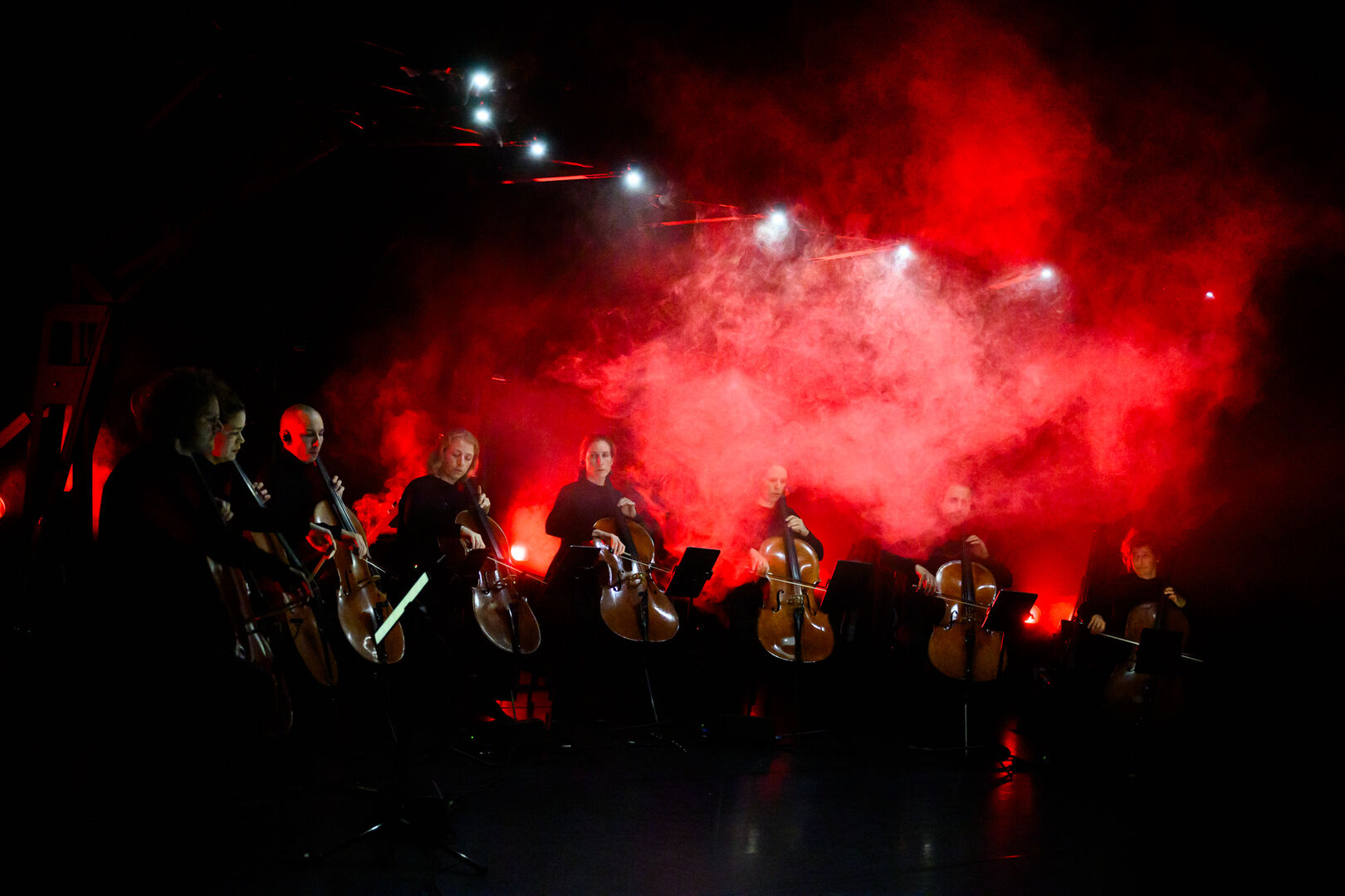 November Music zoekt: zakelijk directeur (v/m/x)